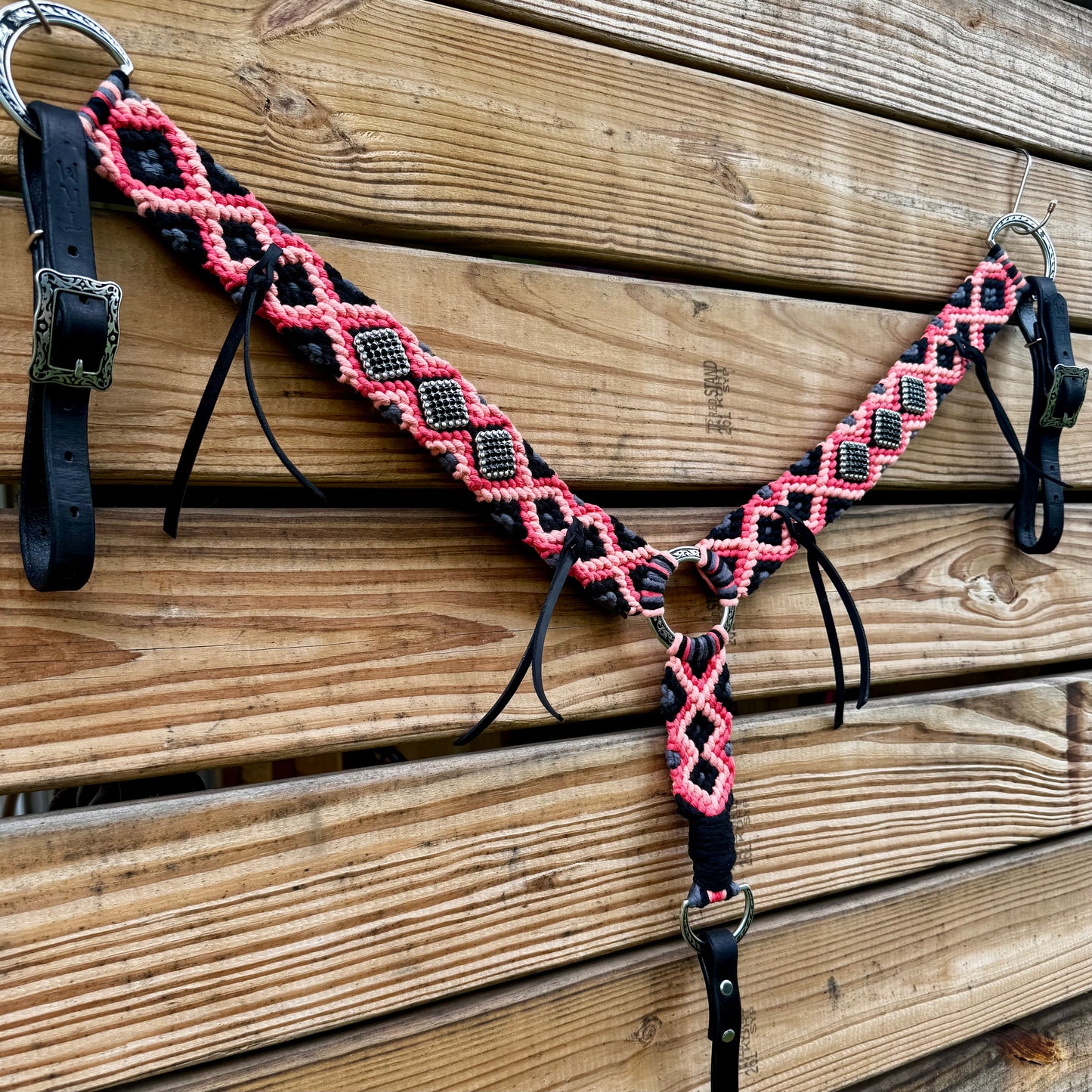 The Stingray - Fruit Punch, Coral, Steel Gray, Black